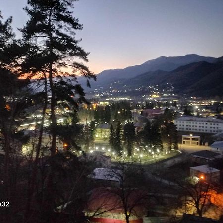 Brotseulebi Hotel Ambrolauri Luaran gambar